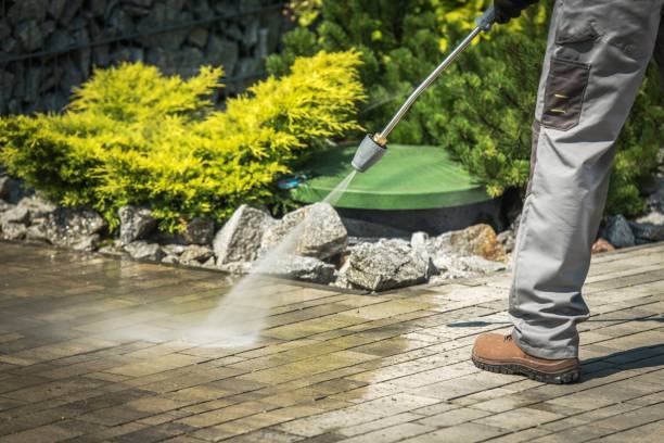 Best Spring Cleaning  in Bloomington, TX